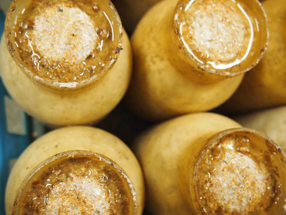 きのこ栽培 菌掻き