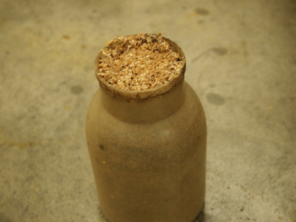 きのこ栽培 接種